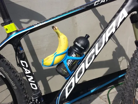 Bananas are portable foods